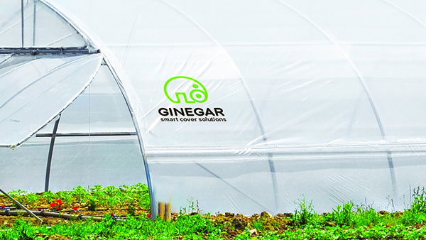 Ginegar Greenhouse Plastic