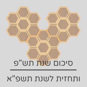 seo בשנת 2020